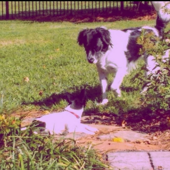 Meet the Posher - Picture 12 of 16